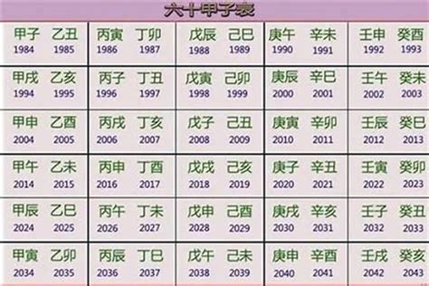 2023年五行屬什麼|【2023 年五行】2023年五行屬什麼？揭秘“黑兔年”的獨特命運與。